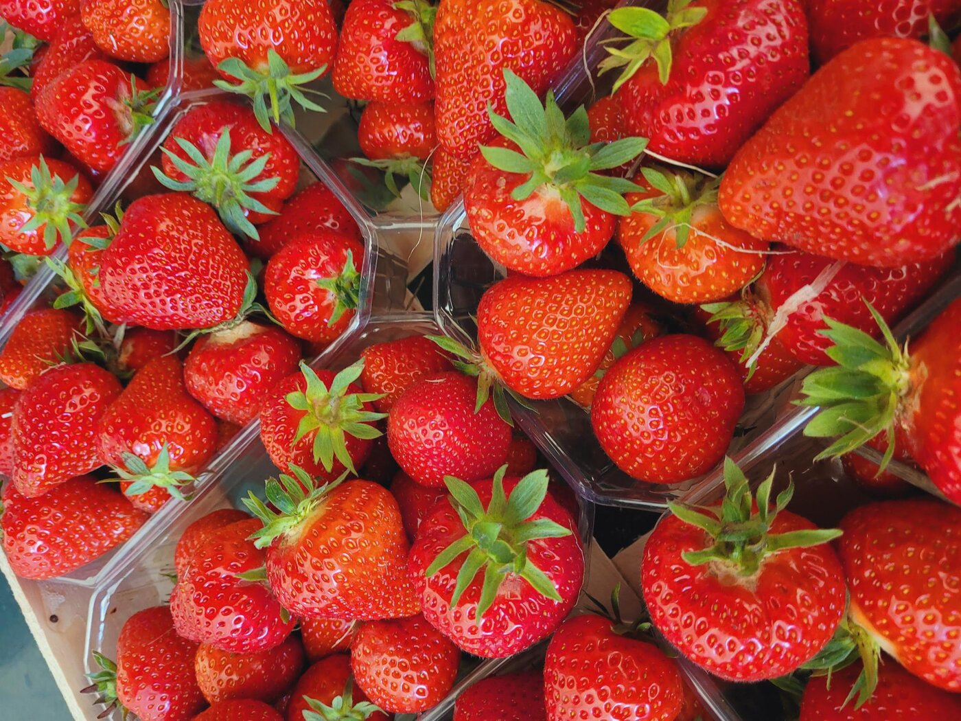 Frisch geerntete Erdbeeren in Verkaufsschalen am Verkaufsstand